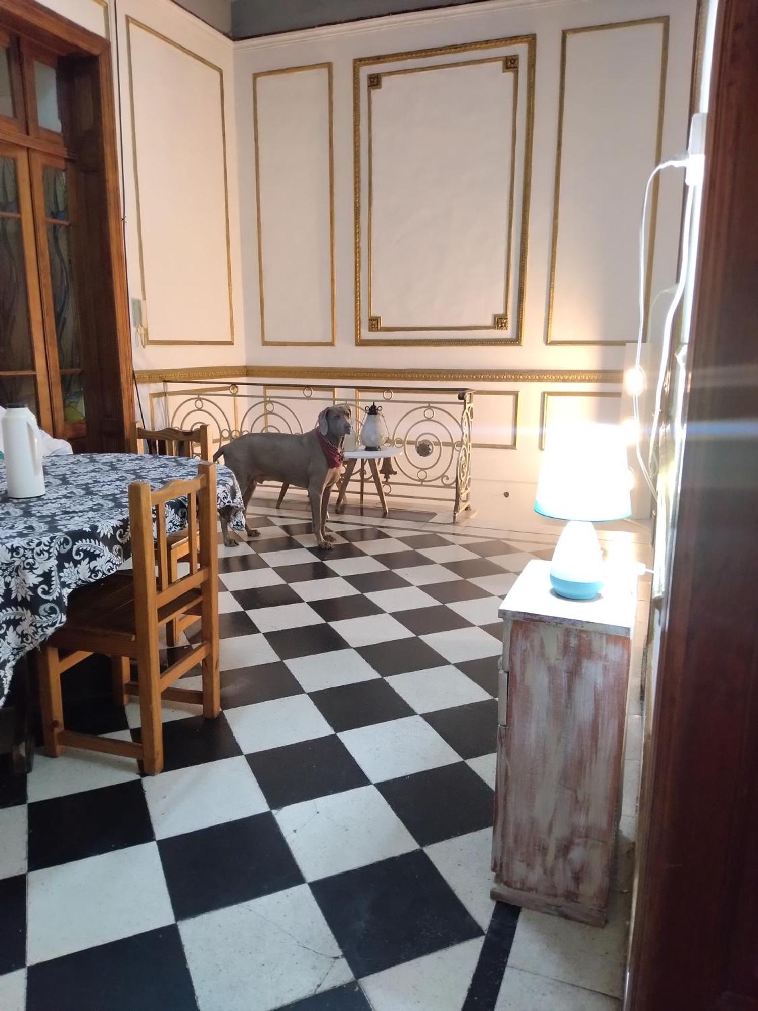 Hostel Dante Y Compania Buenos Aires Exteriér fotografie